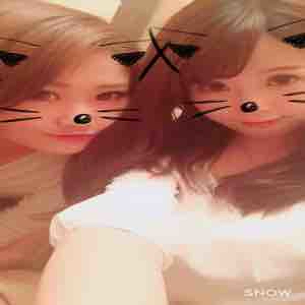 こねこ♡ころりん