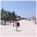 _SARA(25)_
