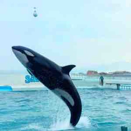 あんずジャム