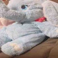 紫