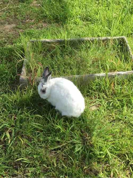 ❤︎ちょこみん❤︎