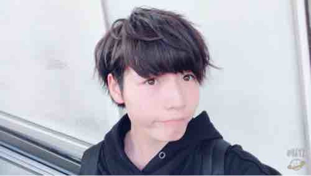 🌴はやしん🌴