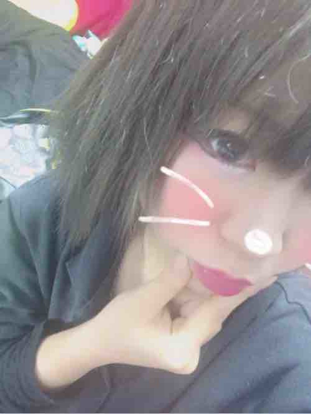 土佐ちびっぷす٩( ᐛ )و ✩*＊・