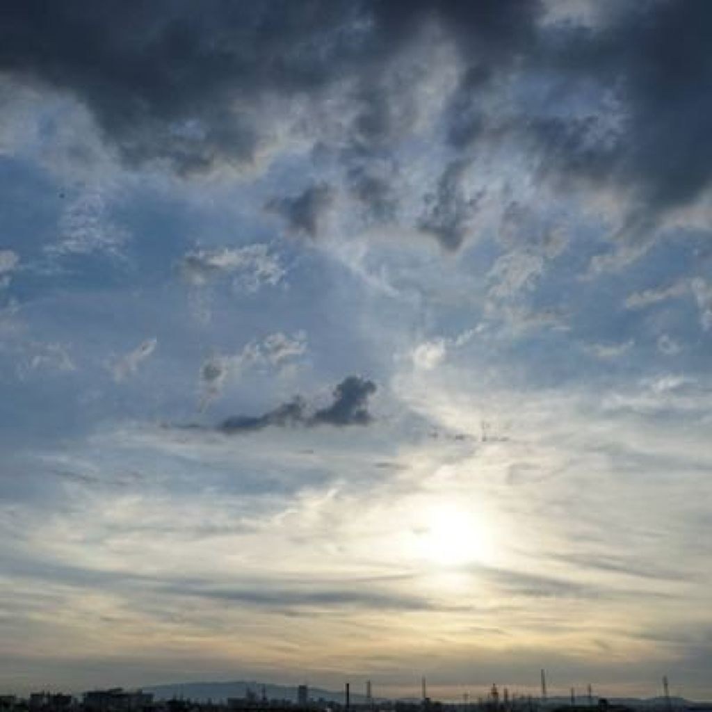 おいしいとまと