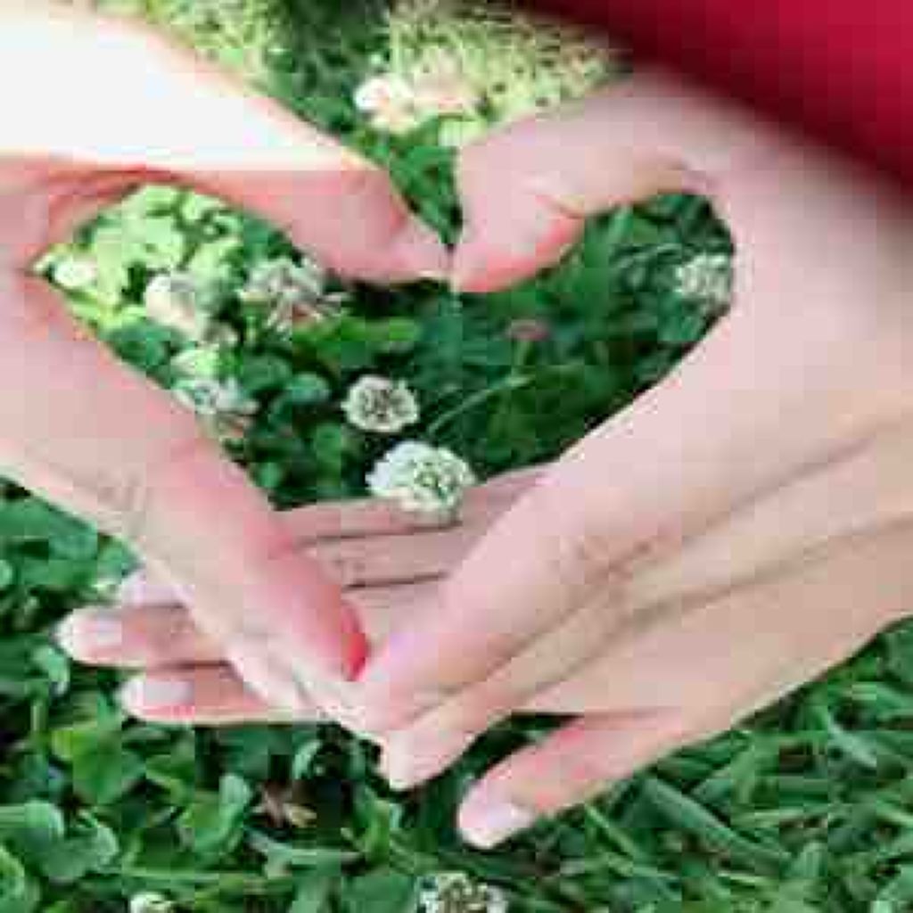 ももさん🐰🍑