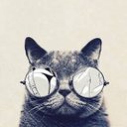 まーるのるーた