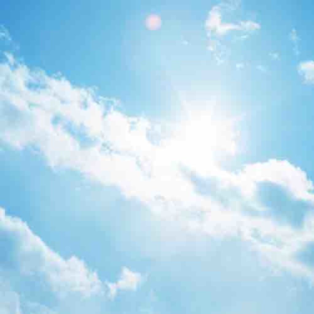 🐥ちゃんさえ🐥