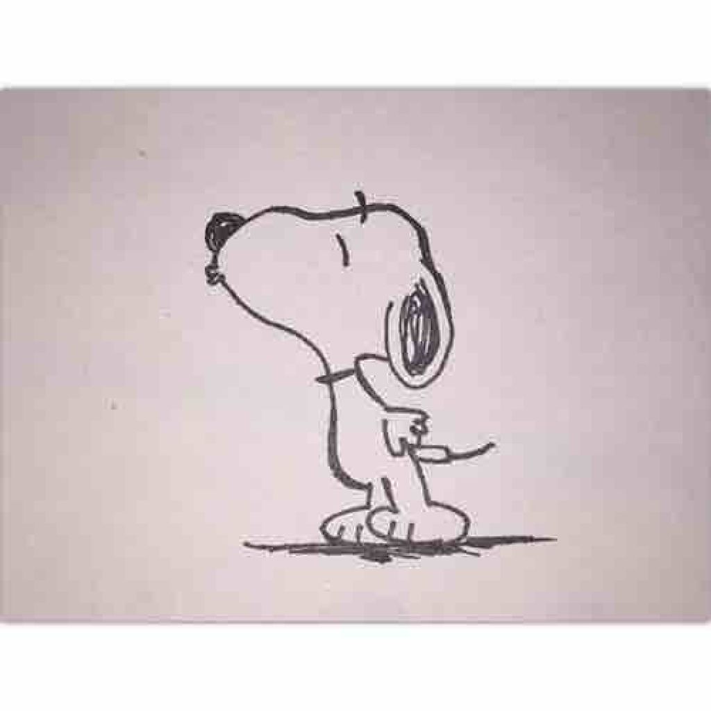 ❤︎мина❤︎