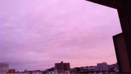 うーぱーるーぱー