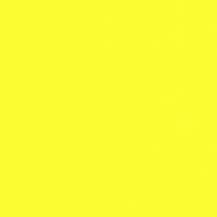 とうもろこし🌽