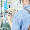 ななこ