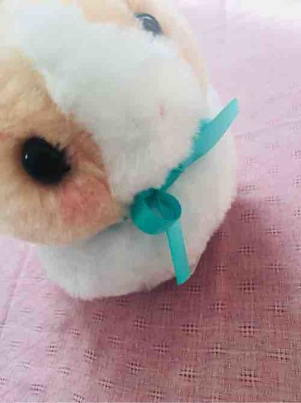 みんみ٩(๑❛ᴗ❛๑)۶