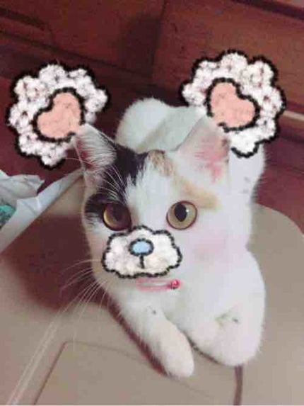 🍓 一期 二三子 (いちご ふみこ)