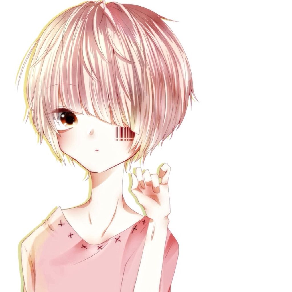 ゆめみととら。