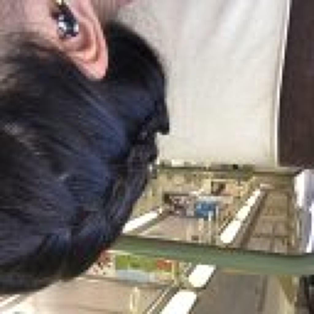 3歳児画伯は顔面詐欺師