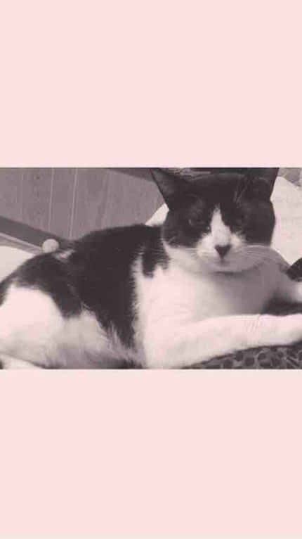 ♦︎♦︎ HINA❤︎