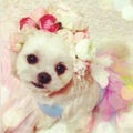 いろ♡