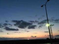アユ