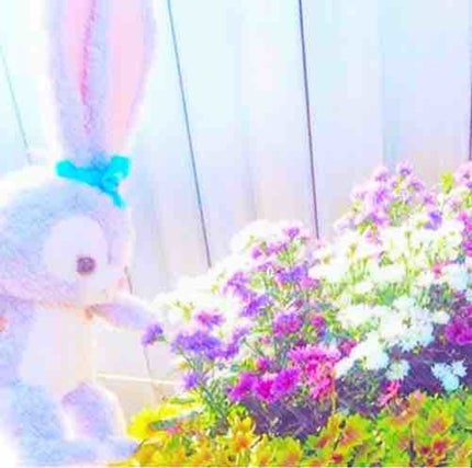 ち び こ \♥︎/