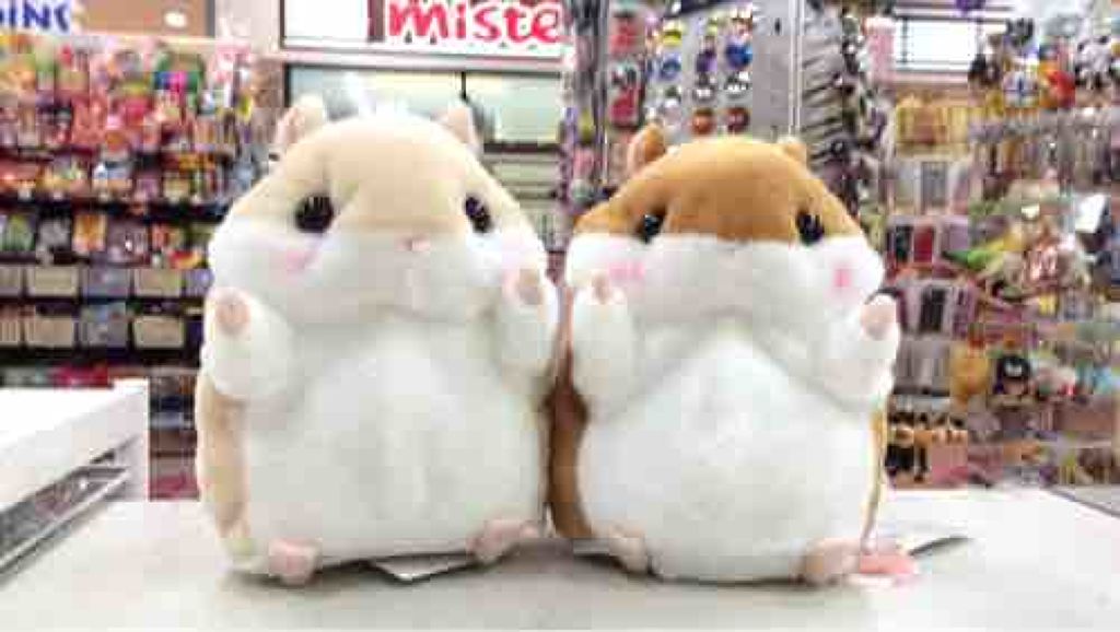 ❁ぷりころん❁