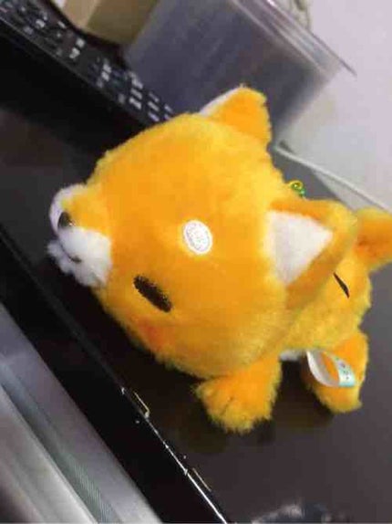 ミルク&ちょこLOVE