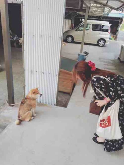 しーた