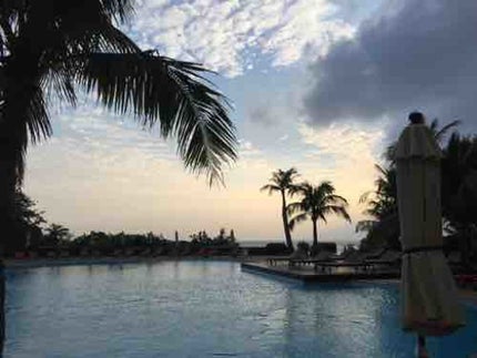 にゃんこむすめ