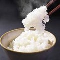 🍚ただのごはん🍚