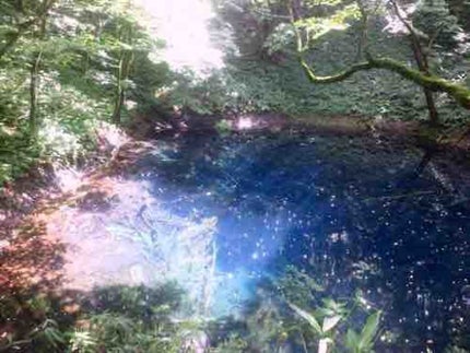 Moyashi