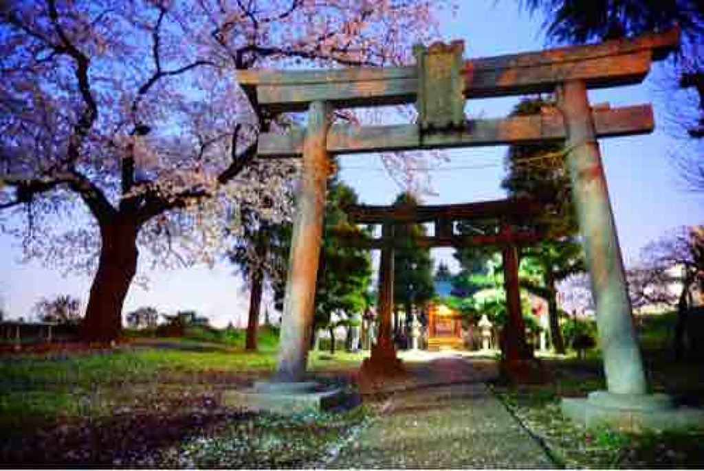 あんちょびーな