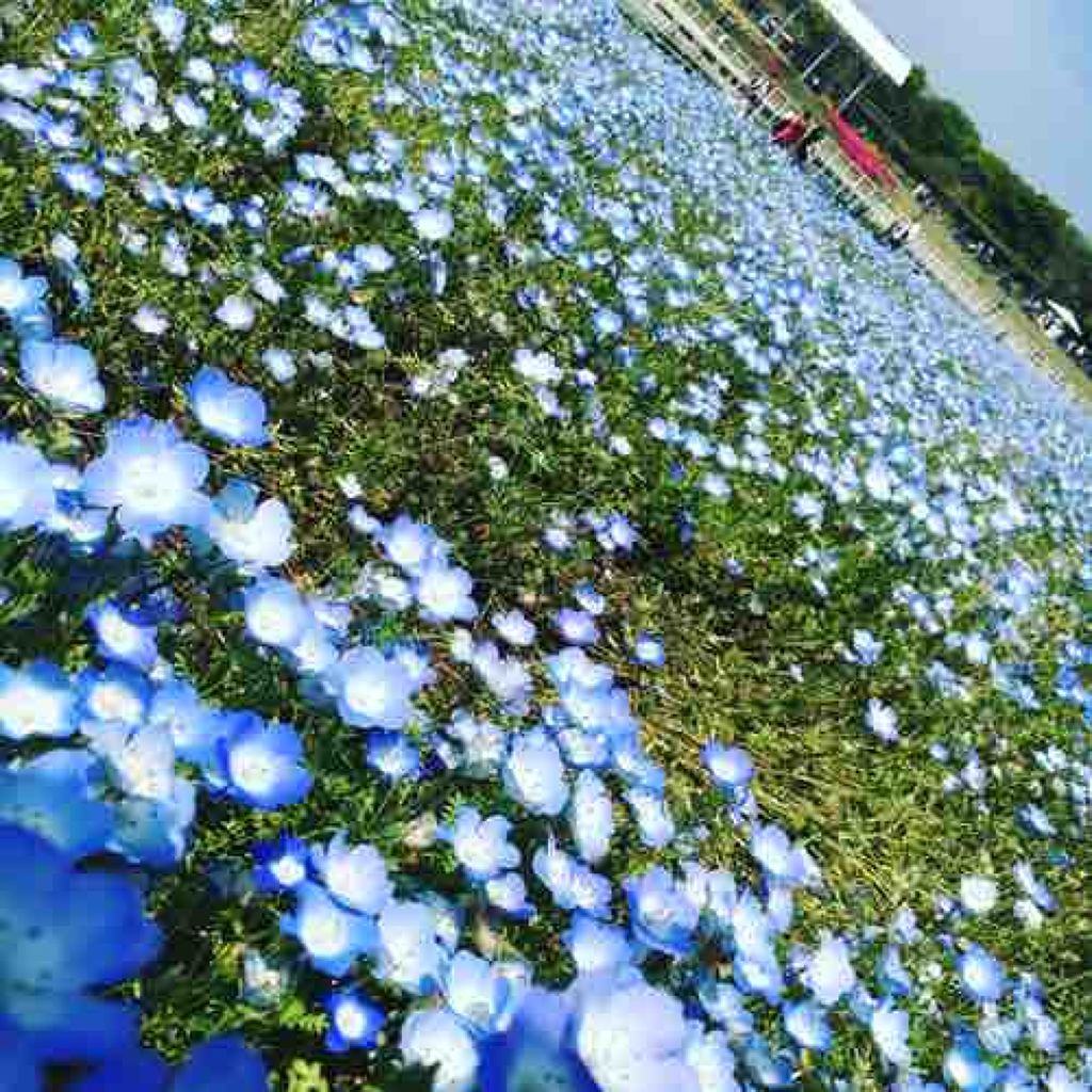 ゆあん🌼