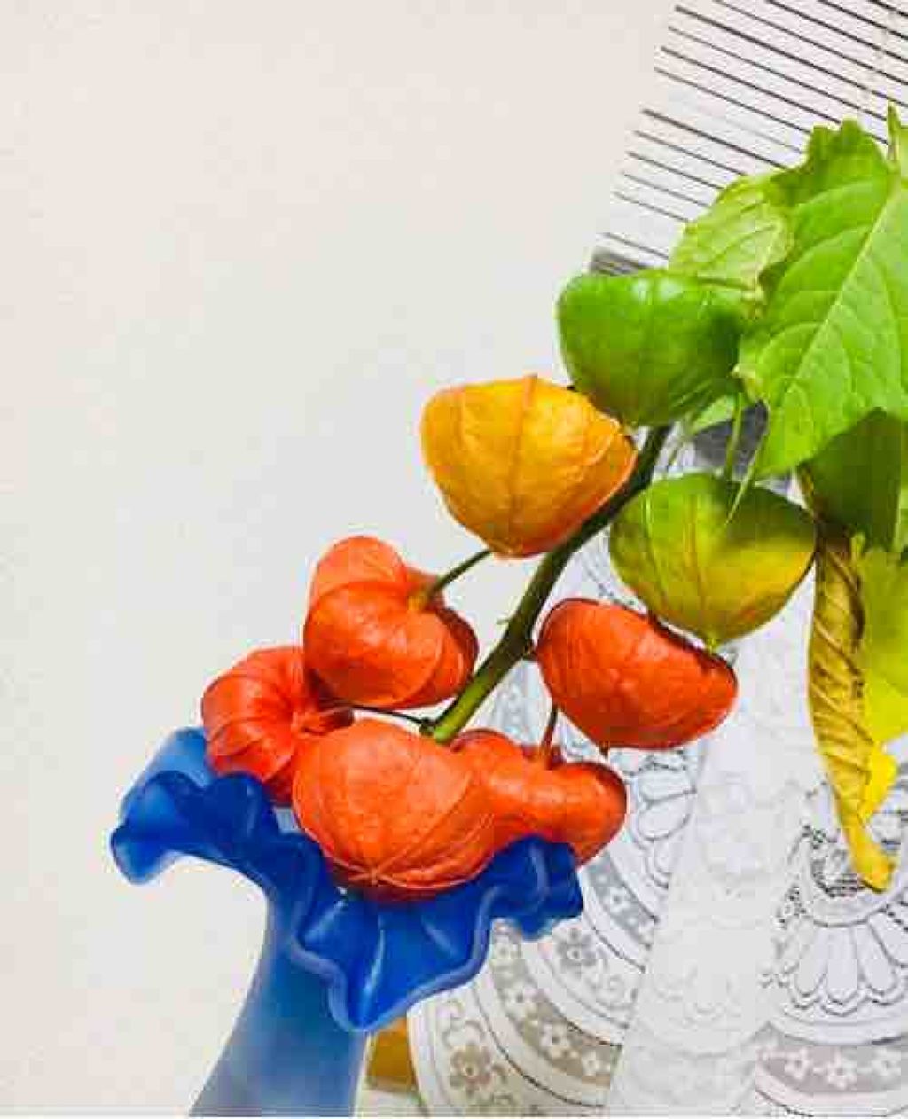 57%OFF!】 ワミレス イオーヌセット 5点プラスおまけ kohara.ac