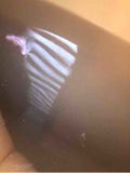 しゅき丸