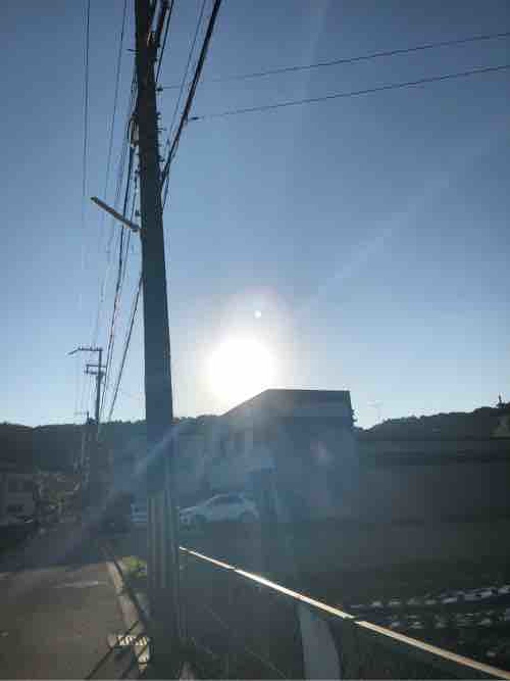 みるきい🧜‍♀️