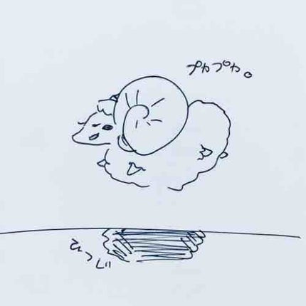 にめ