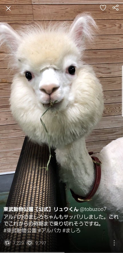 もんち