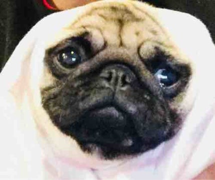 ぬ