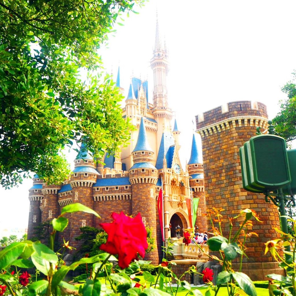 ᑦᴴᴵᴺᴬᴹᴵ 🕊