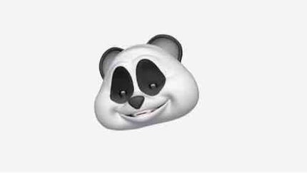 🐼