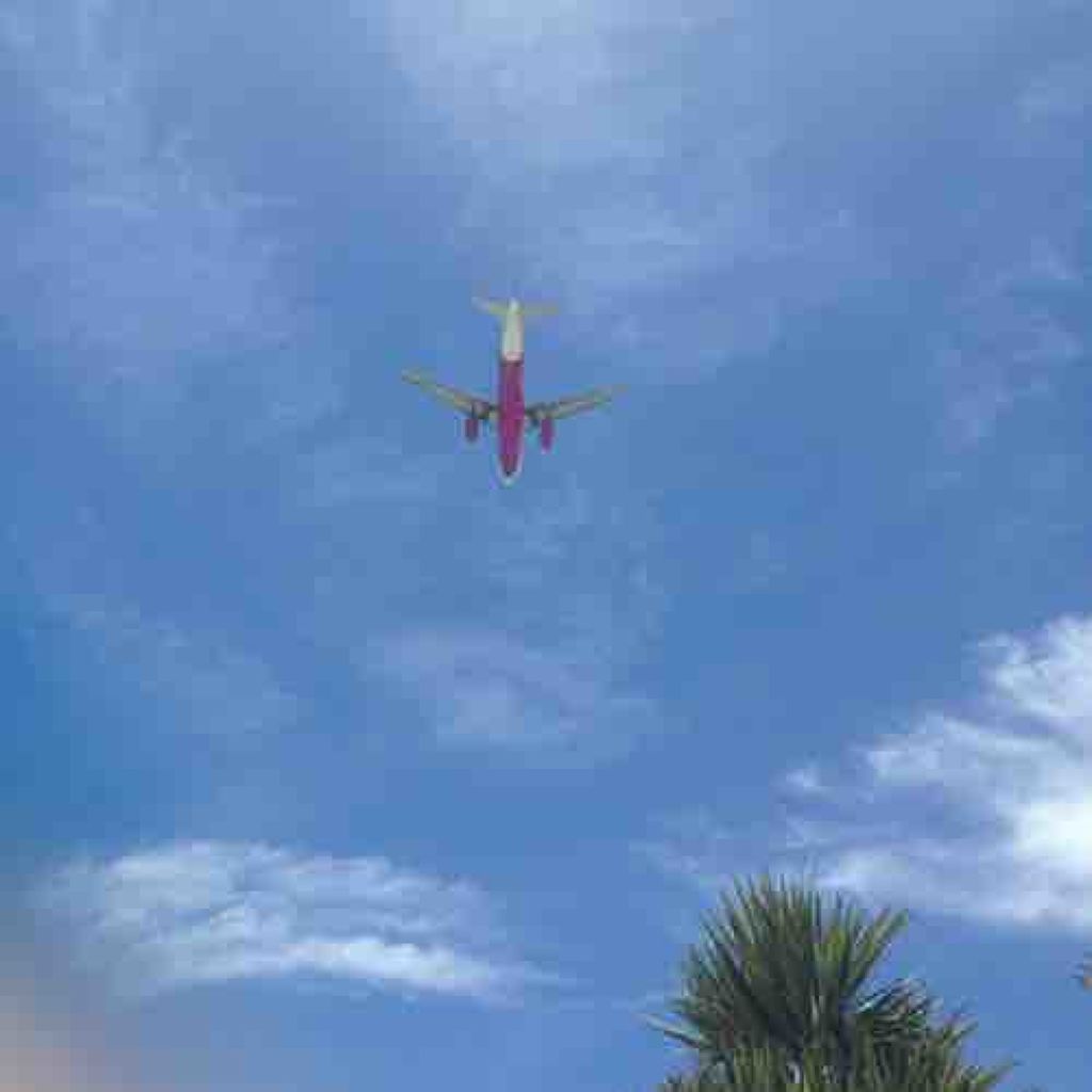 🥑  ｷﾑﾁ  .*･ﾟ