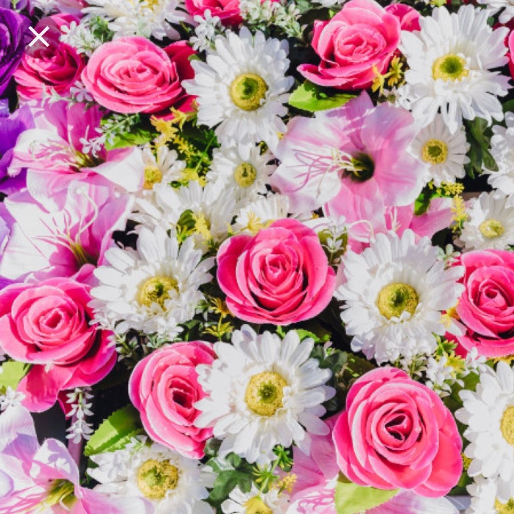 🌺ぱぴぷぺぽ🌺