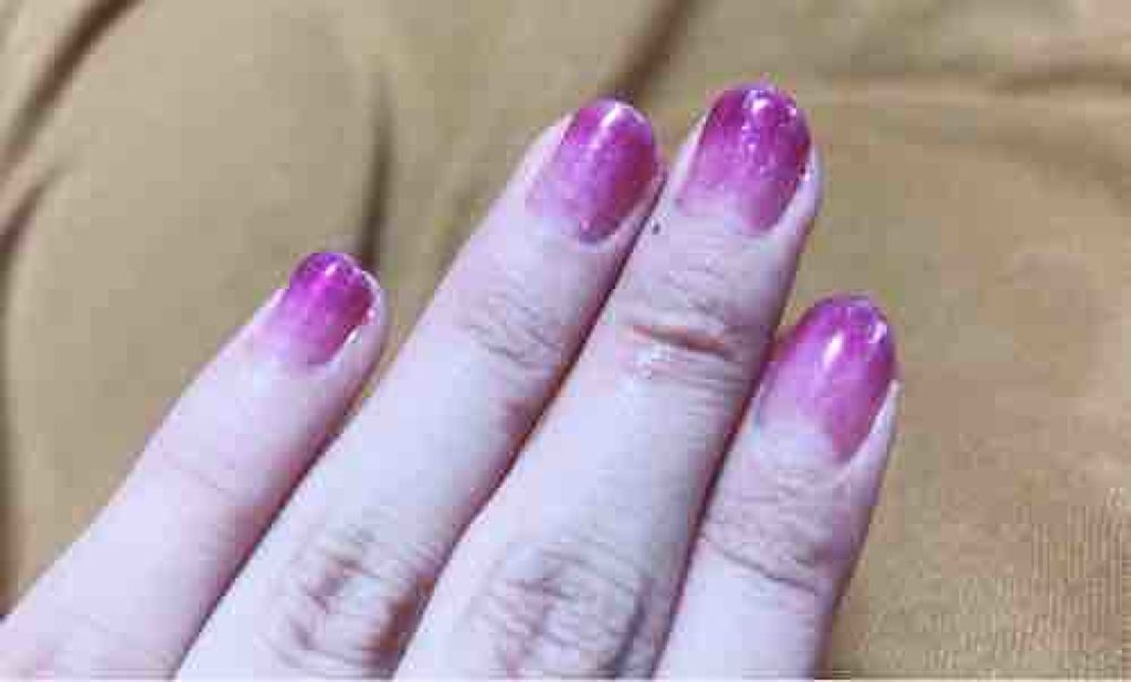 猫をこよなく愛する者