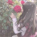 ✧ しょうりくん ✧