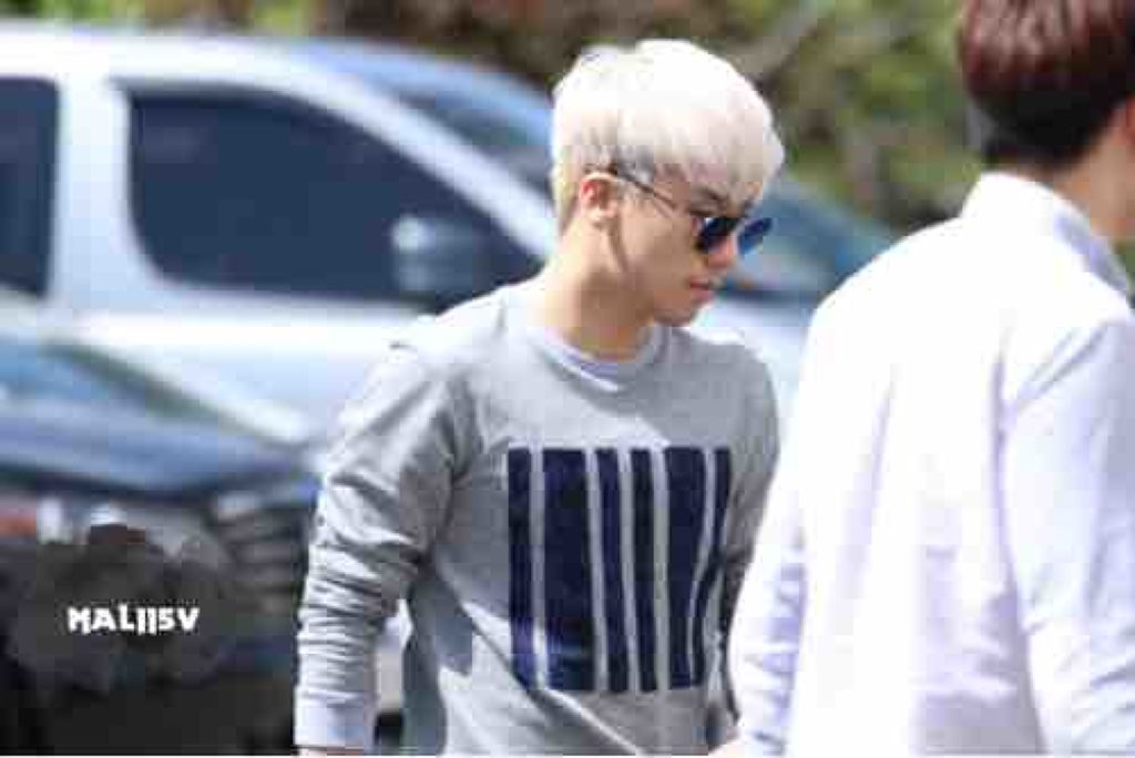 真面目なパンダ🐼