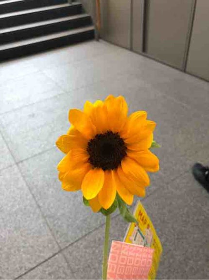ひろぴー