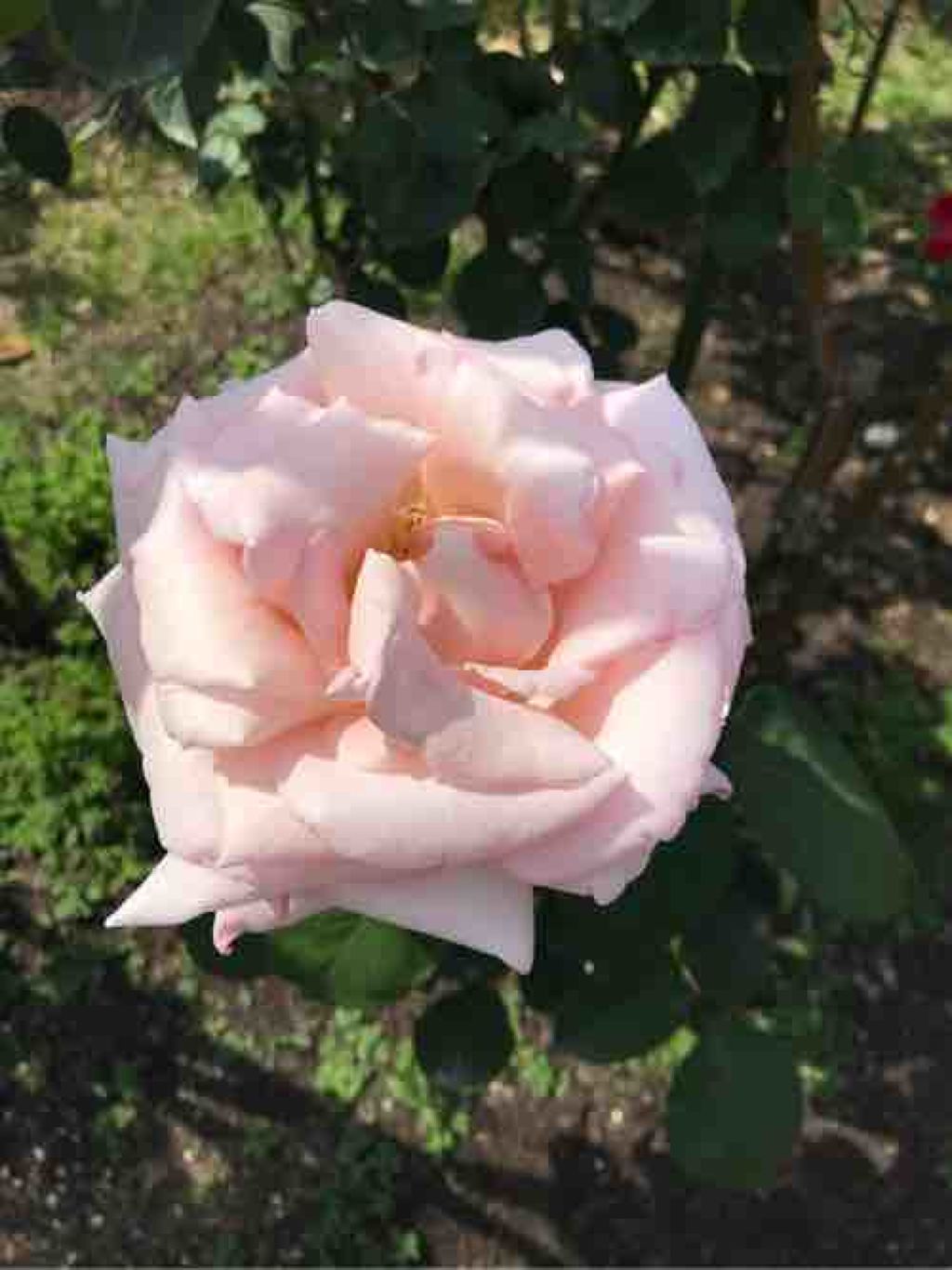 就活は本当クソだな！！！