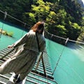 ふじ