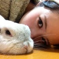 さや ふく