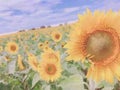 ゆう