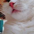 ゆつき